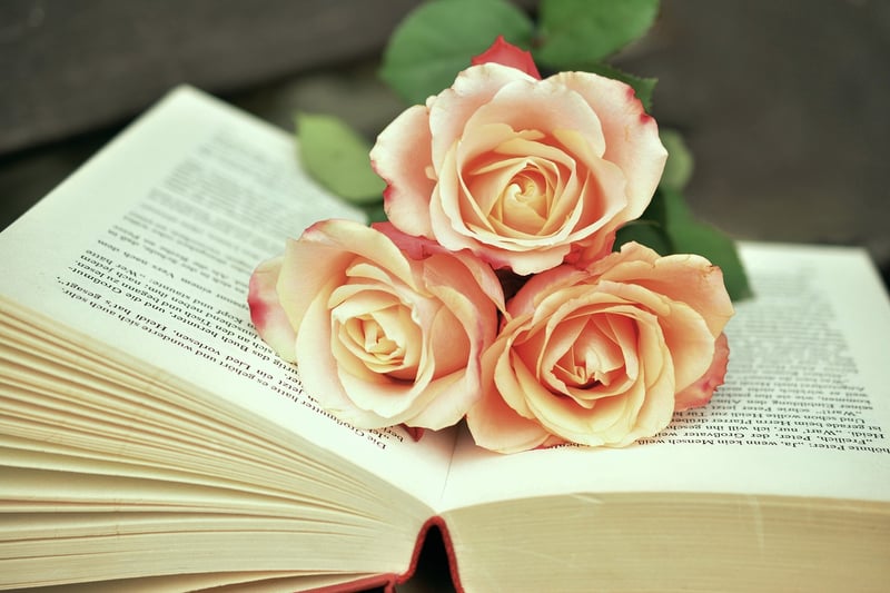 Time Travel Literature